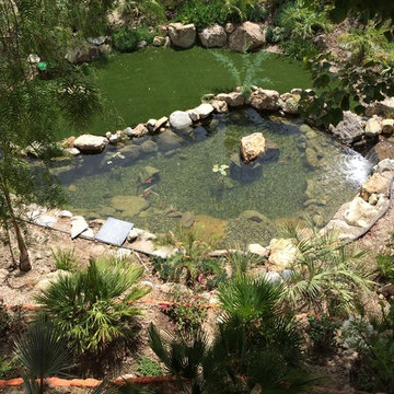 Cesar Millan's Desert Oasis