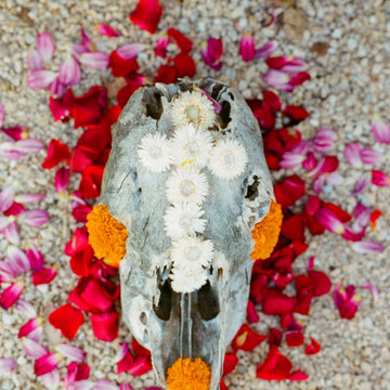 Slow Flowers October 2019 Inspiration: Seasonal Decor with Pumpkins & Gourds