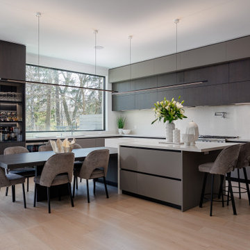 Lytton Park Modern Kitchen Overview