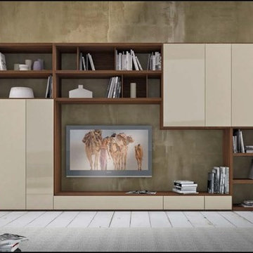 Comp. 343 Wall Unit, Presotto Italy
