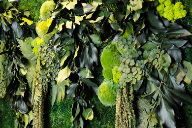 Jungle Moss green walls by Moss Trend