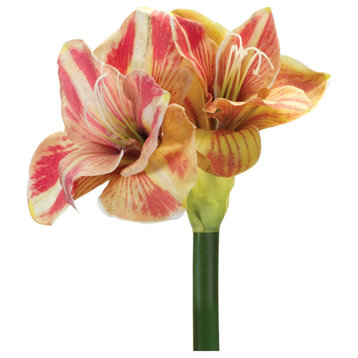 Amaryllis Flower Stem, Set of 2