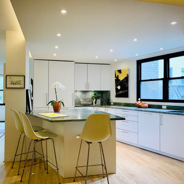 Modern Apartment Renovation - Manhattan