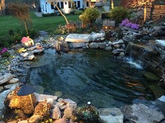 Wintering over Koi in Michigan