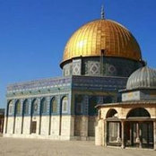 Ammar Yousef's photo