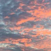 StAcy LAi's photo