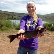 Linzy Flinders's photo