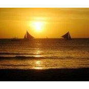 Melissa Lara's photo
