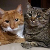 Karen Luba's photo