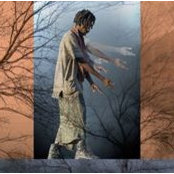 Jodi Combs-Kalla's photo