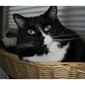 Sandy Butterfield's photo