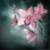 Joan J Deel's photo