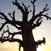 Alexandre Del Perugia's photo