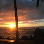 Brandon Searle's photo