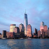 Lisa Levine's photo