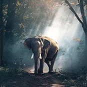 Shawn Murray's photo