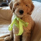Lucy Benito Hayes's photo