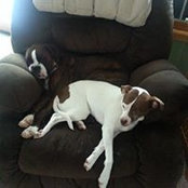 Barbara Pedersen's photo