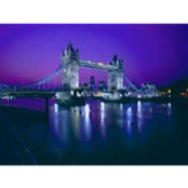 Mahesh sudhakar Payghode's photo