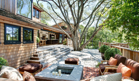 Bauen mit Bäumen: Integrieren, umpflanzen oder fällen?