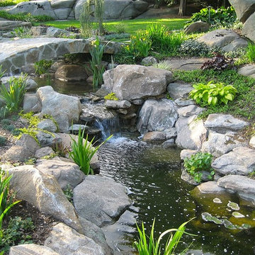 Garden Pond