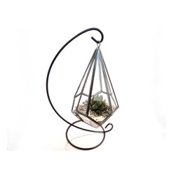 Geometric terrariums by Daring Flowers - Products