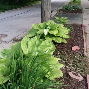 Northwest Suburbs