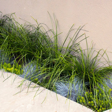 San Roque Contemporary Landscape Renovation
