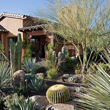 Everyday Escape - Phoenix Home & Garden