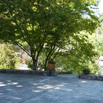 Landscape Design & Installation