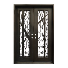 Front Door replacement