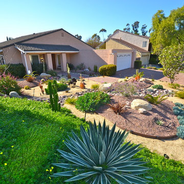 92124-Tierrasanta-Colorful Xeriscape/ Low Water/ Low Maintenance Front Yard