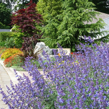 West Coast contemporary front yard