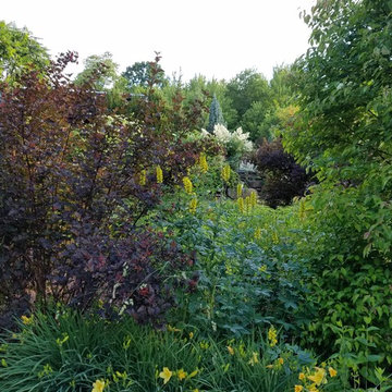 Rustic Cabin Cottage Garden