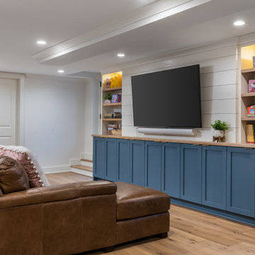 Basement with Murphy Bed