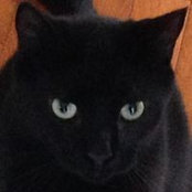 Debbie Russo's photo
