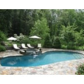Classic Poolss billede