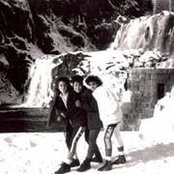 Sharon Baginskis foto