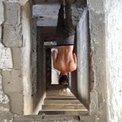 Aharon Levy's photo