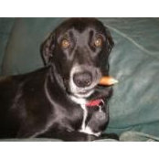 Julie Jentges's photo