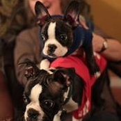 Lise Boiteau's photo