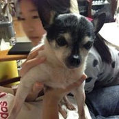 Mayu Matsui's photo