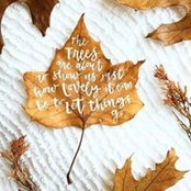 Robin Sanders's photo
