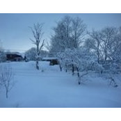 Alex Marques's photo