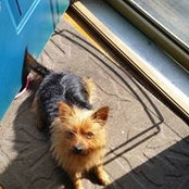 Jill Cain's photo