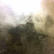 Kristine Steege's photo