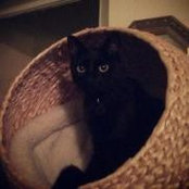 Pavel Zee's photo