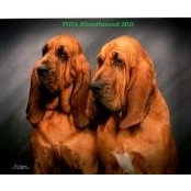 Doug Tills foto