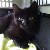 Tami Flynn's photo