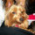 joy_crews